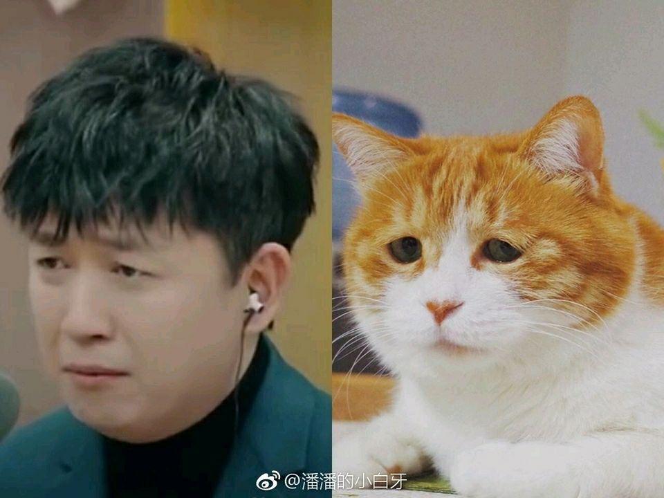 被潘粤明可爱死是什么感觉? - 知乎