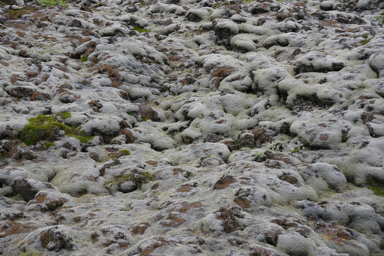 土壤工程如何写