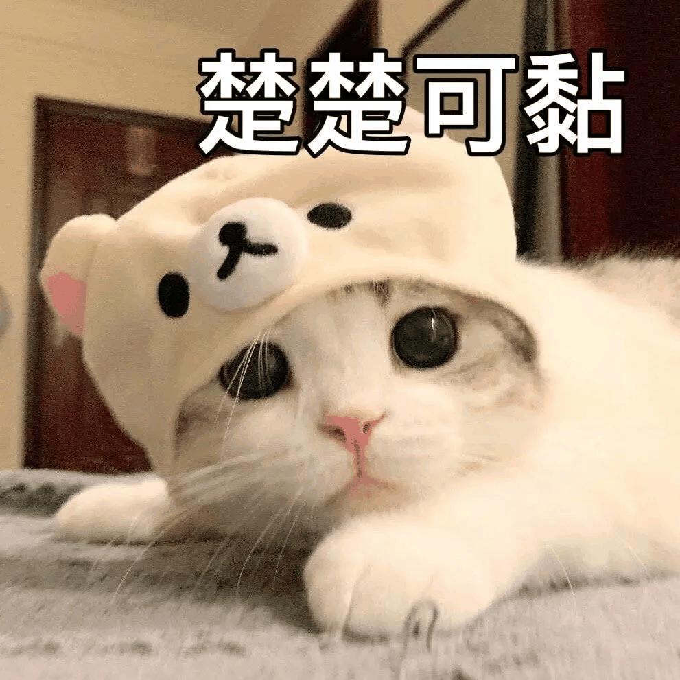 女生撒娇专用表情包,速速收藏! - 知乎