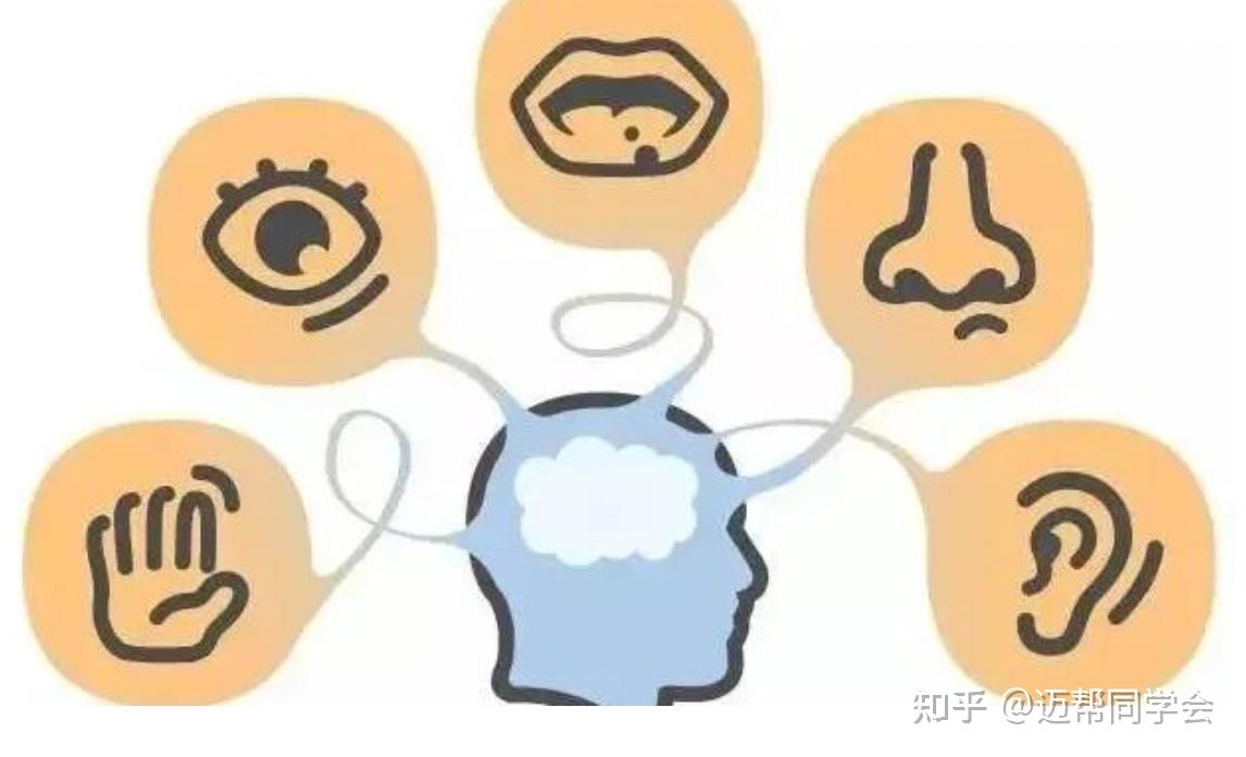 每天学习新模型 ｜ 弗莱明的视听动模型 - 知乎