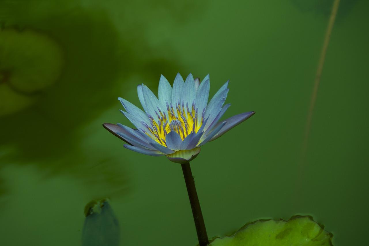 2. 御苑户型面积