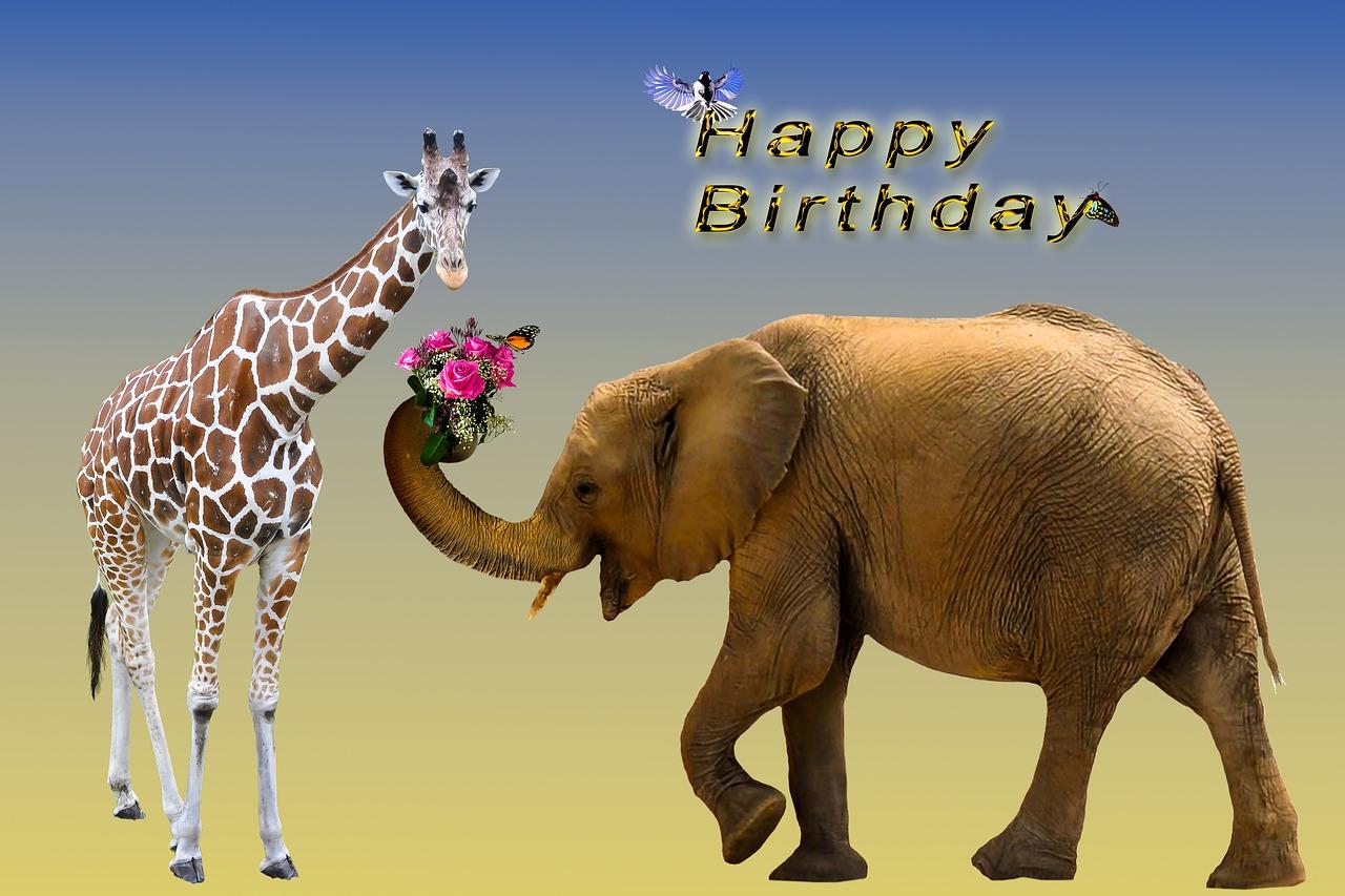 新年钟声，快乐相伴