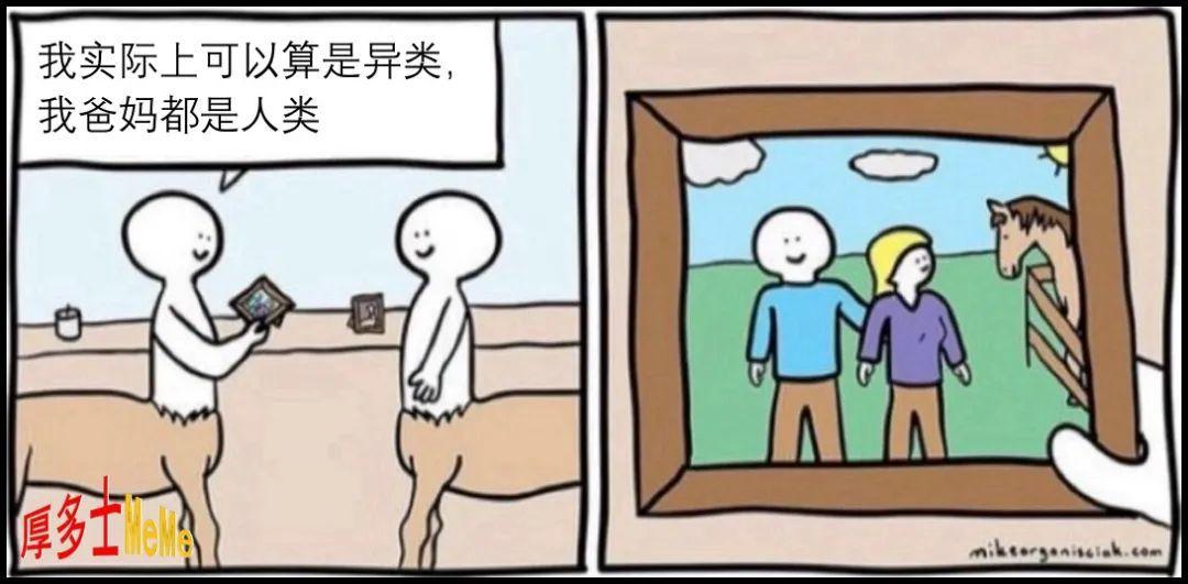 你看过的最有意思的meme、梗图有哪些? - 知乎