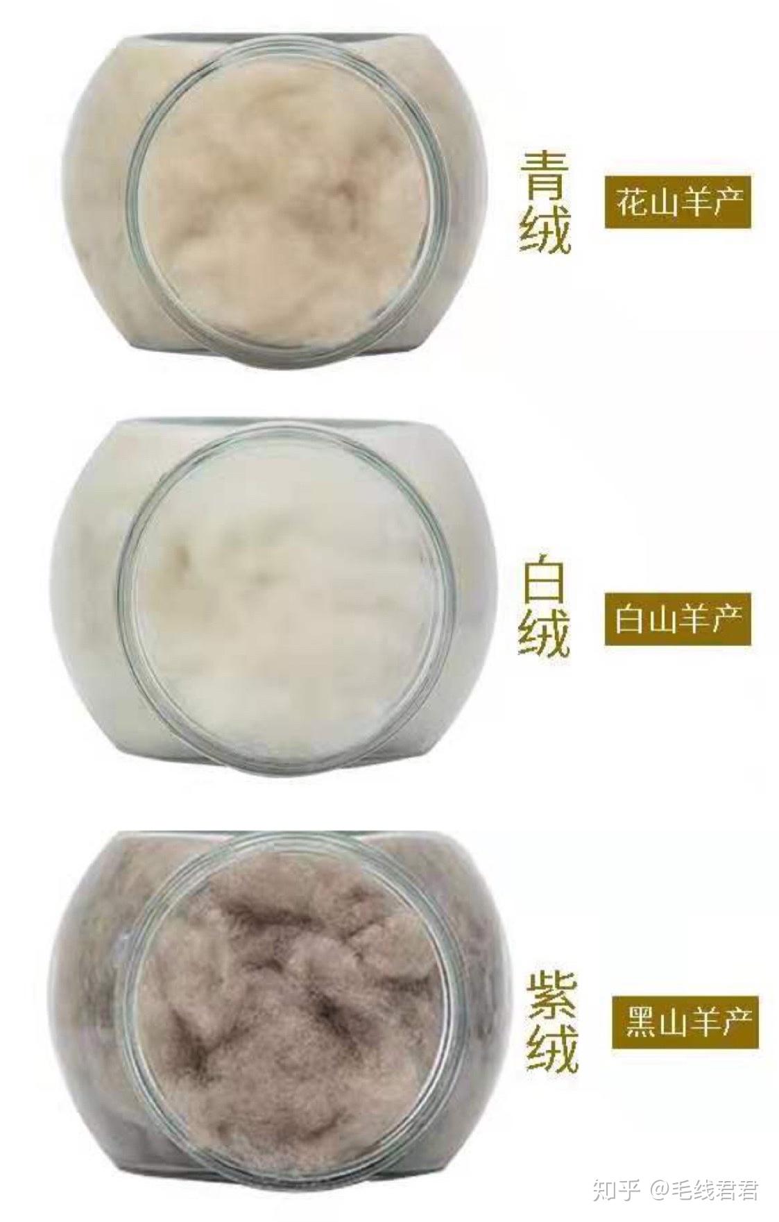 三分钟带你了解羊绒! - 知乎