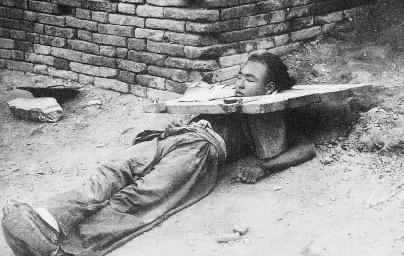 他们无法自个保护,跑也跑上掉,只生任凭野兽掐断自己理脖子,啃食他们