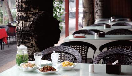 怎样更好地去了解一座城市?