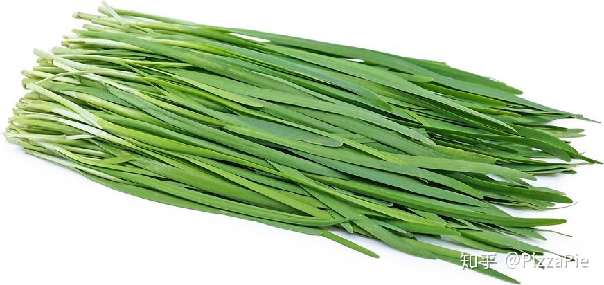 chive,leek,scallion,shallot有什么区别? - 知乎