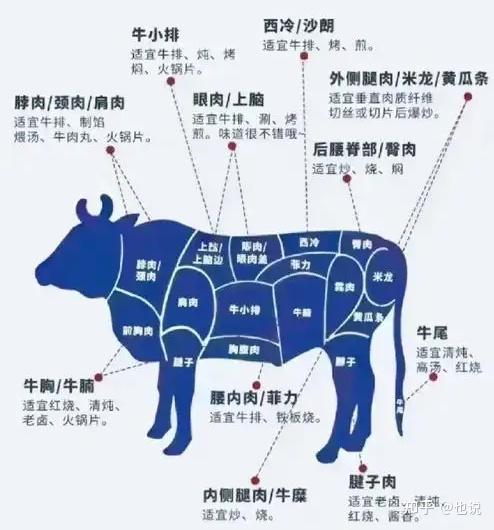 中国畜牧业协会称牛肉过度进口已对我国肉牛产业造成实质性损害，对此你怎么看？