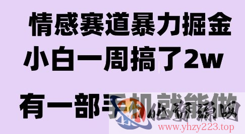 情感暴力掘金项目，新人操作一周挣了2W，长期稳定小白可做【揭秘】