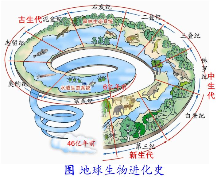 请问哪里能够弄到高清大图的生命进化图