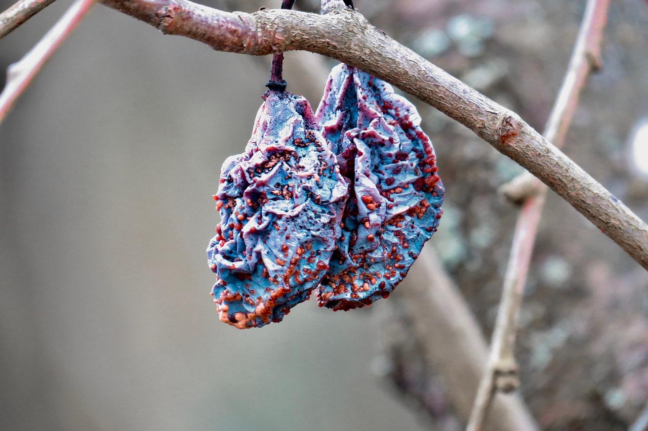 空调什么模式不干燥