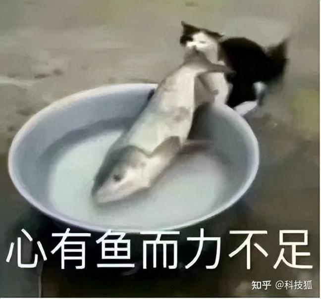 重量很 Air,性能很 Pro!这台 1kg 的笔记本这次真做到了