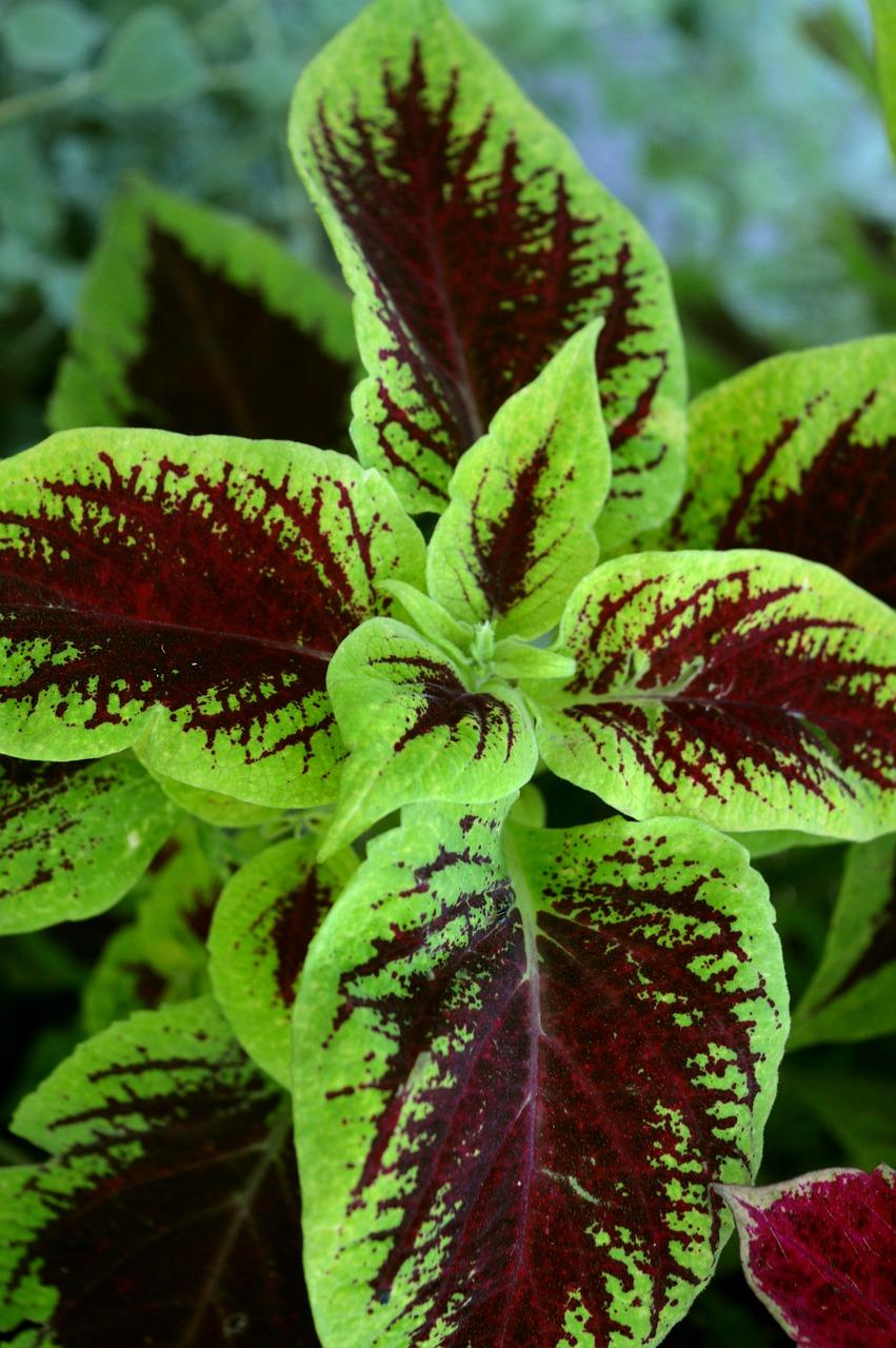 格力72挂机多少钱