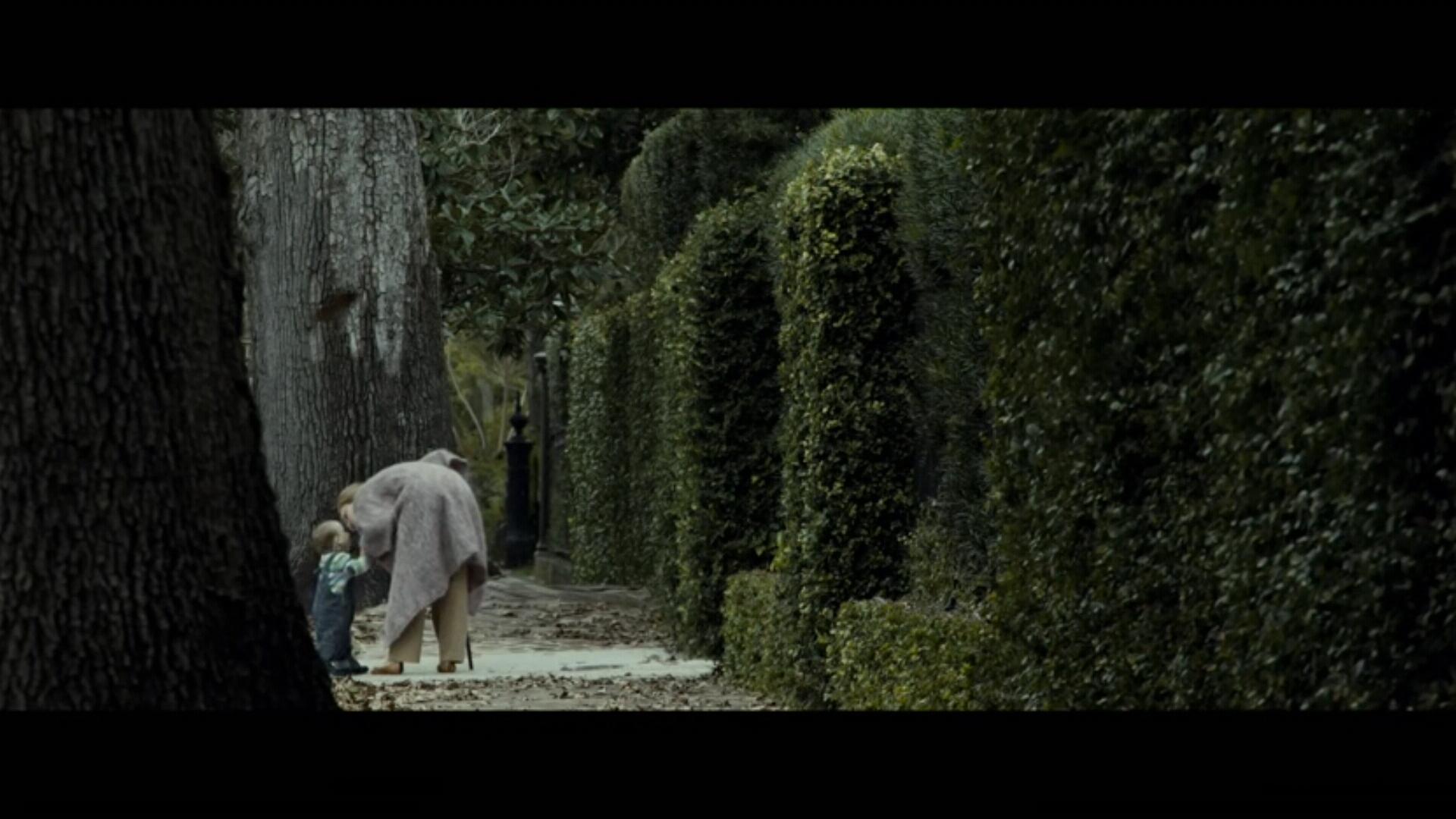 Benjamin button 知乎