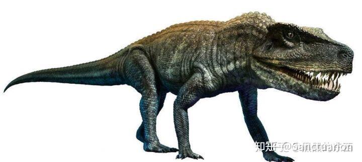 突然想到一个问题,爬行类腹部拖地,四肢不能站立,而恐龙为什么可以?