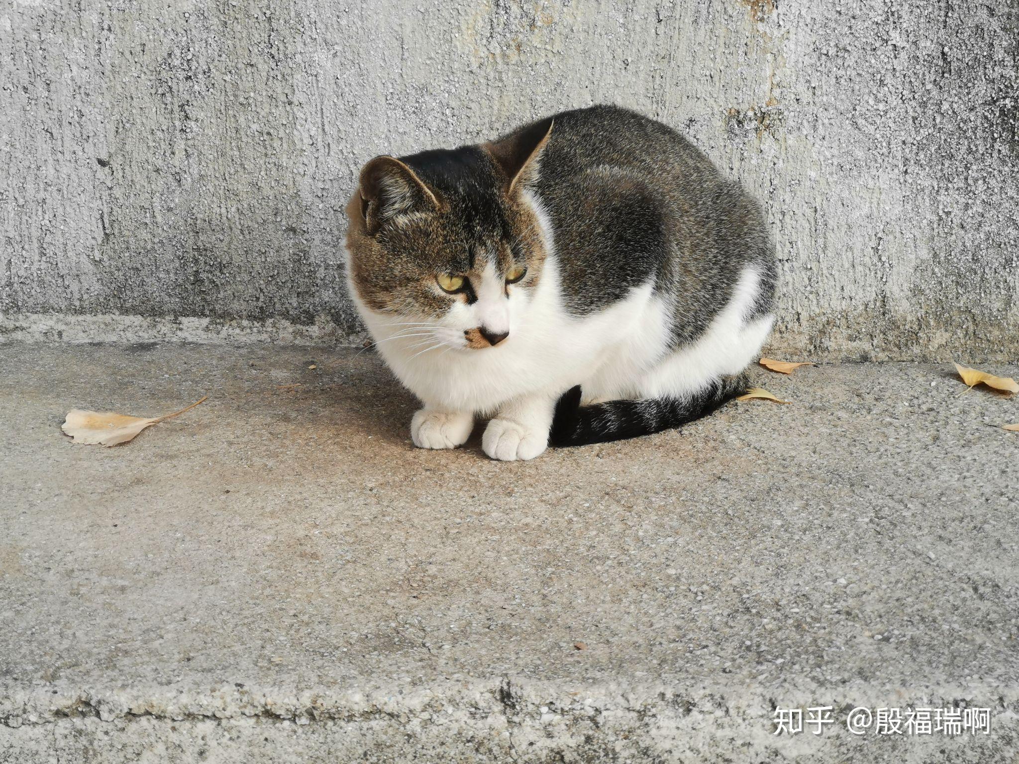 安徽科技学院的校园环境如何