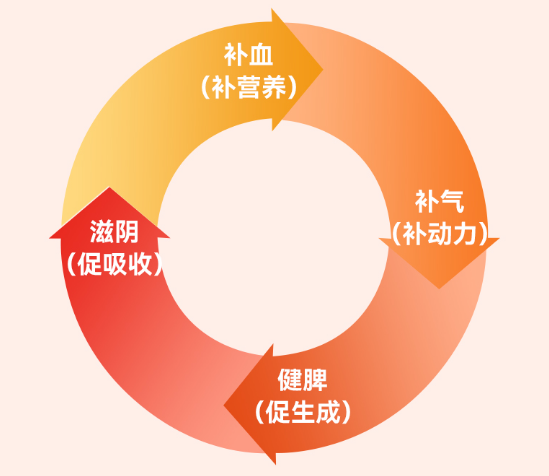 为什么吃红参、血肽后,气血变好了? - 知乎
