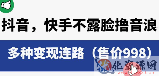 抖音快手不露脸撸音浪项目，多种变现连路（售价998）