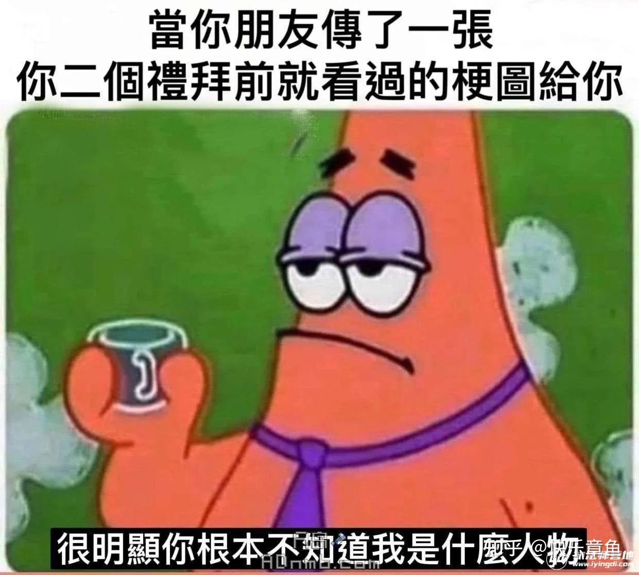 今日meme梗图 - 知乎