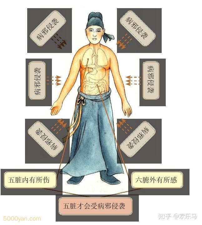 邪气脏腑病形:邪气对脏腑的侵袭 - 知乎