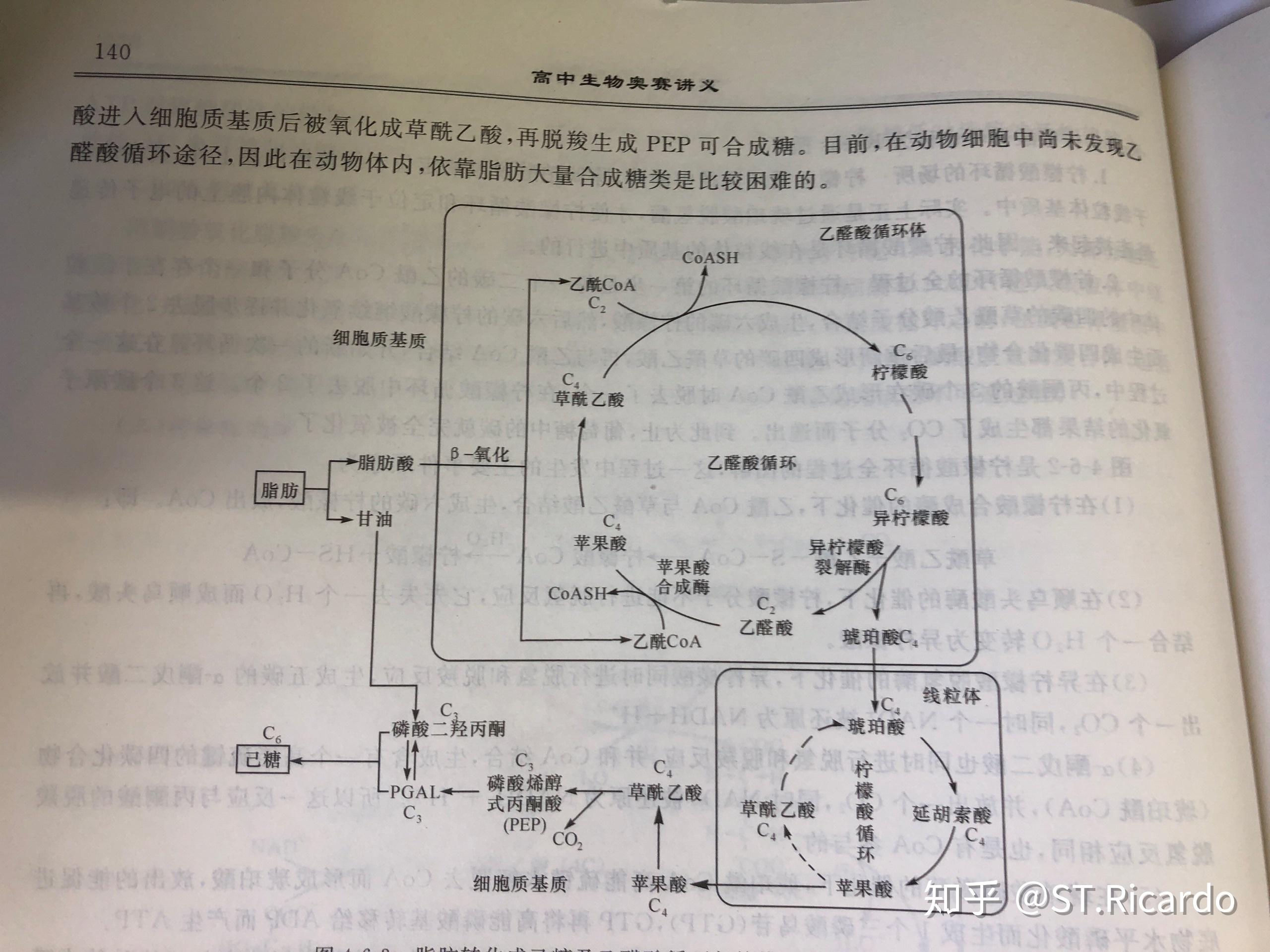 和它的方程式? 