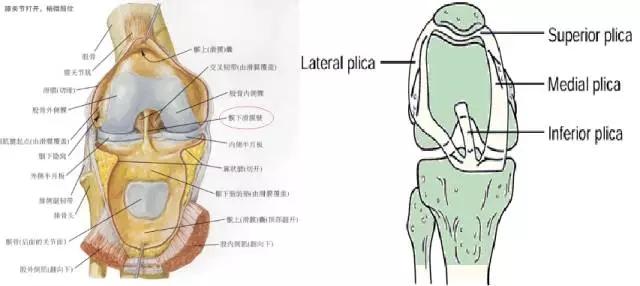 大家膝盖髌下脂肪垫炎都是如何痊愈的? 