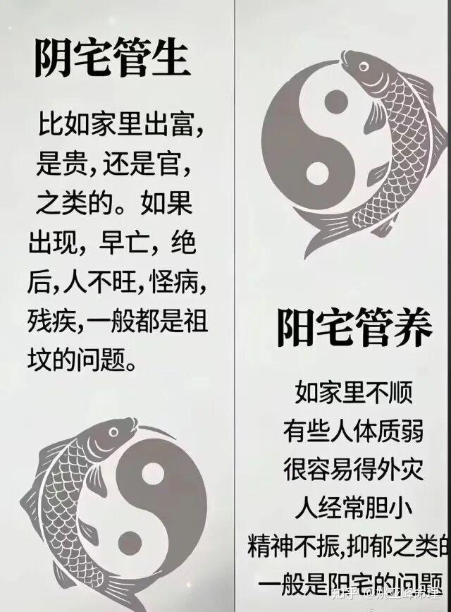 纯电SUV前驱、后驱、四驱深度解析:家用购车权威方案