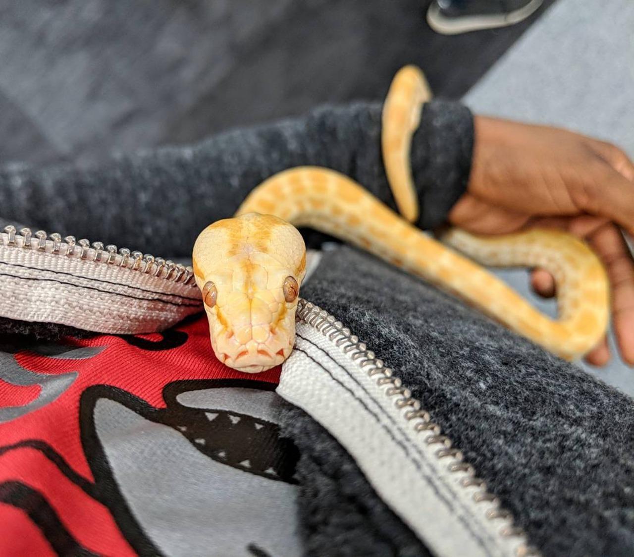 4. 瓷砖磨损处理法