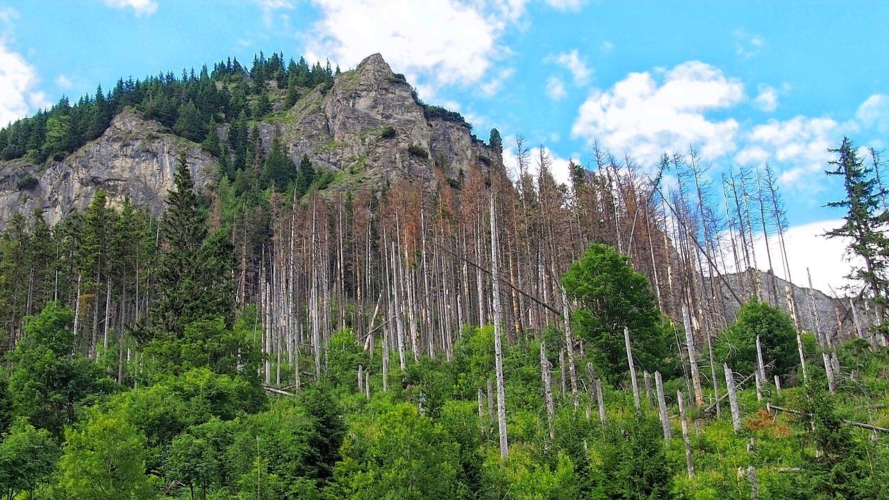 5. 城市发展机遇