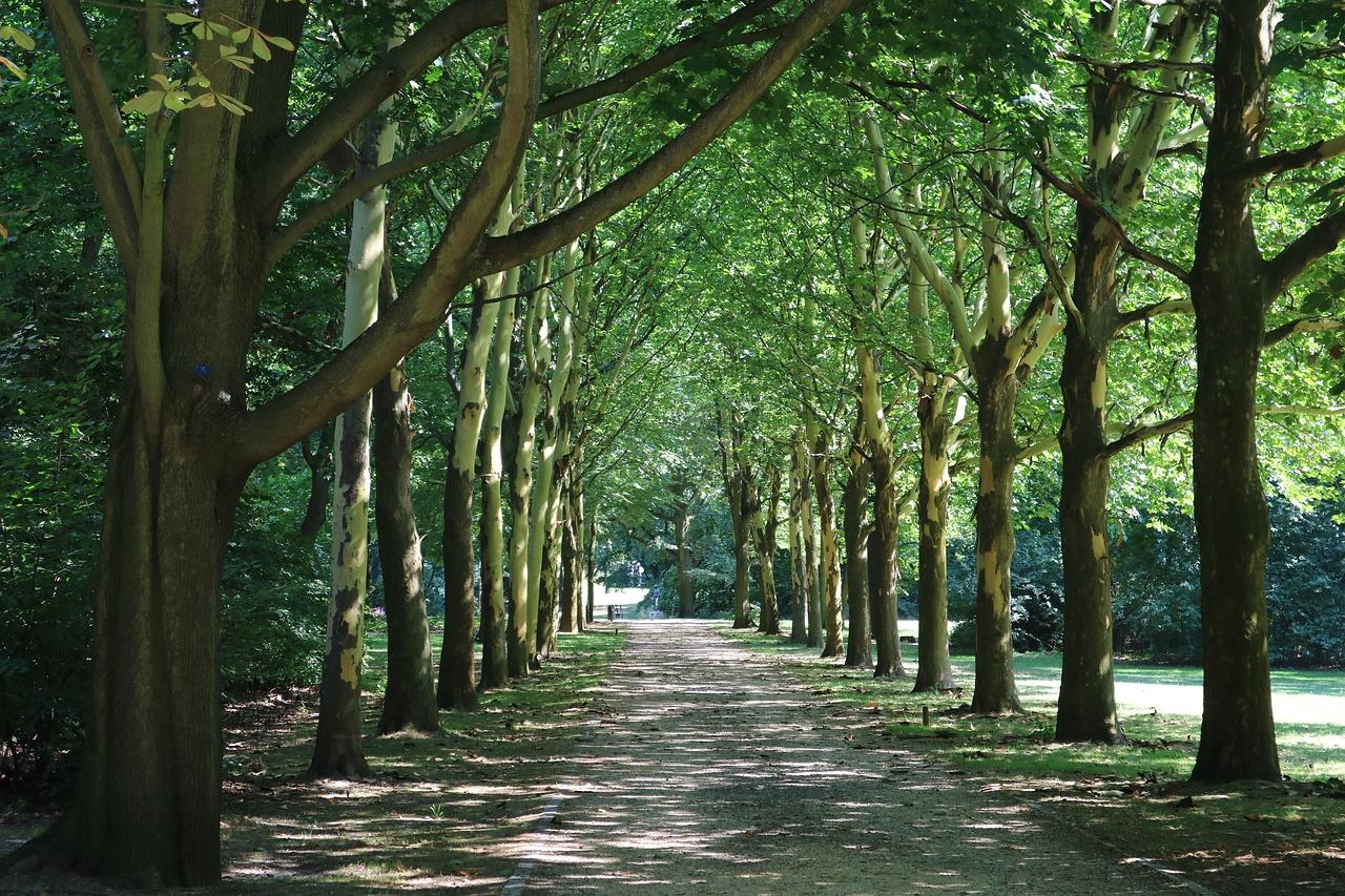 3. 福芳园配套齐全