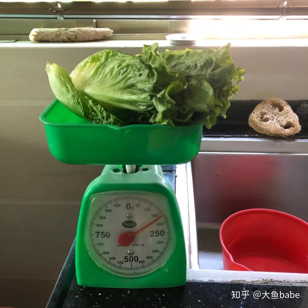小基数体重的我曾如何从45kg减到40.2kg?浅谈我的减脂攻略。 - 知乎
