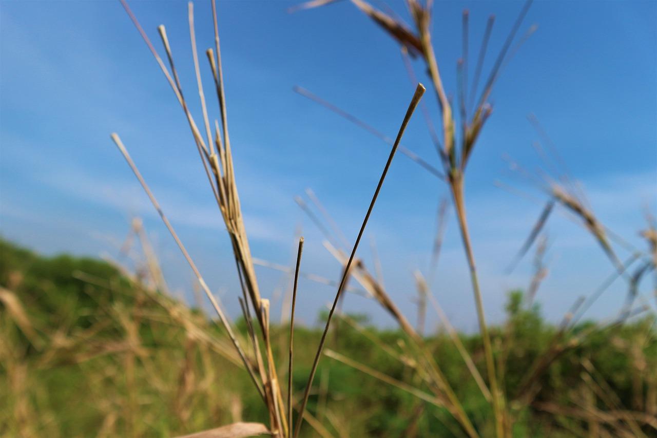 格力蜂蝶空调如何使用