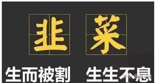 究竟股票要怎么买才不会被割韭菜