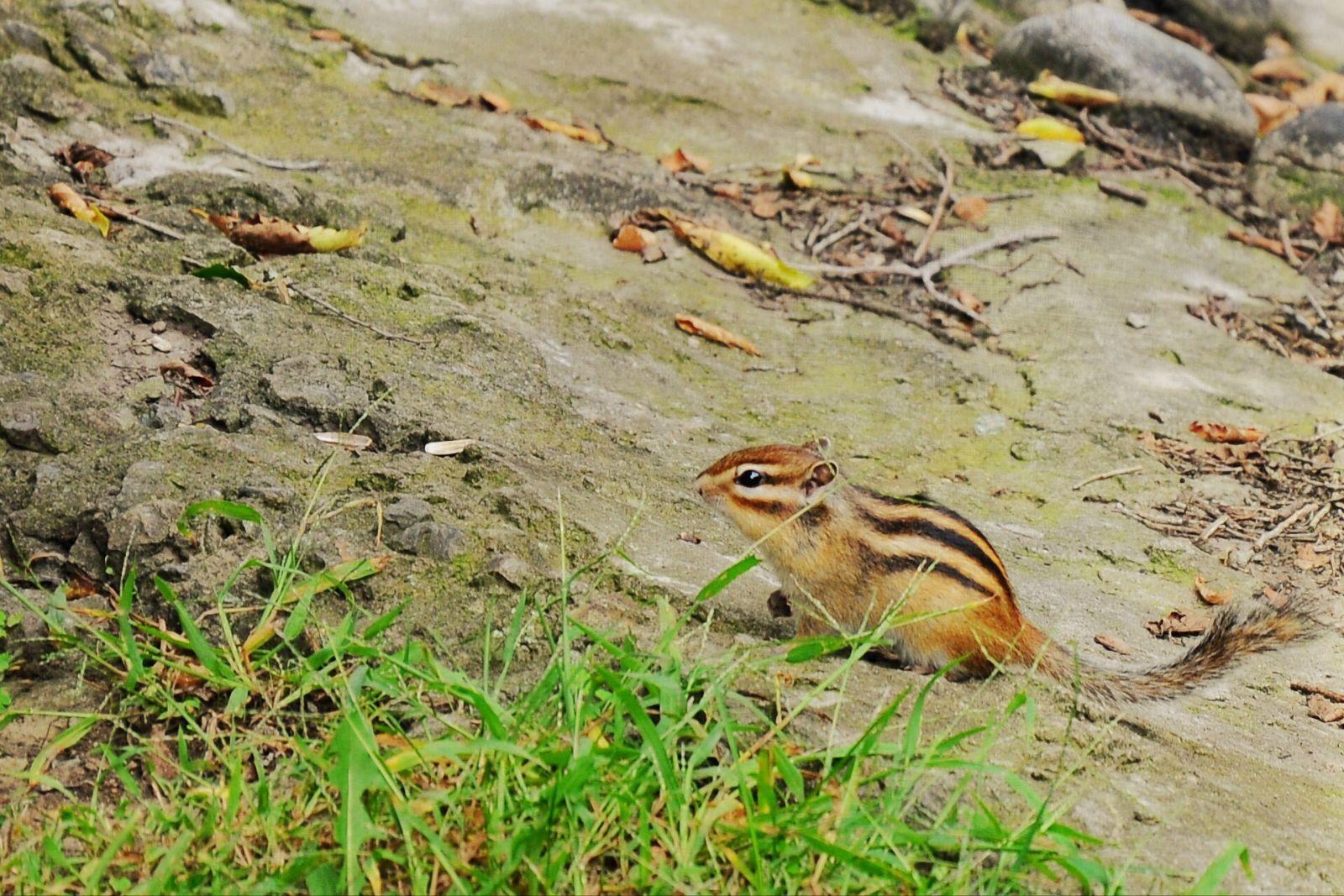 哈尔滨旅行有哪些攻略?有什么值得去的地方?-哈尔滨旅游有哪些攻略