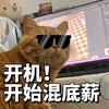 一次就过