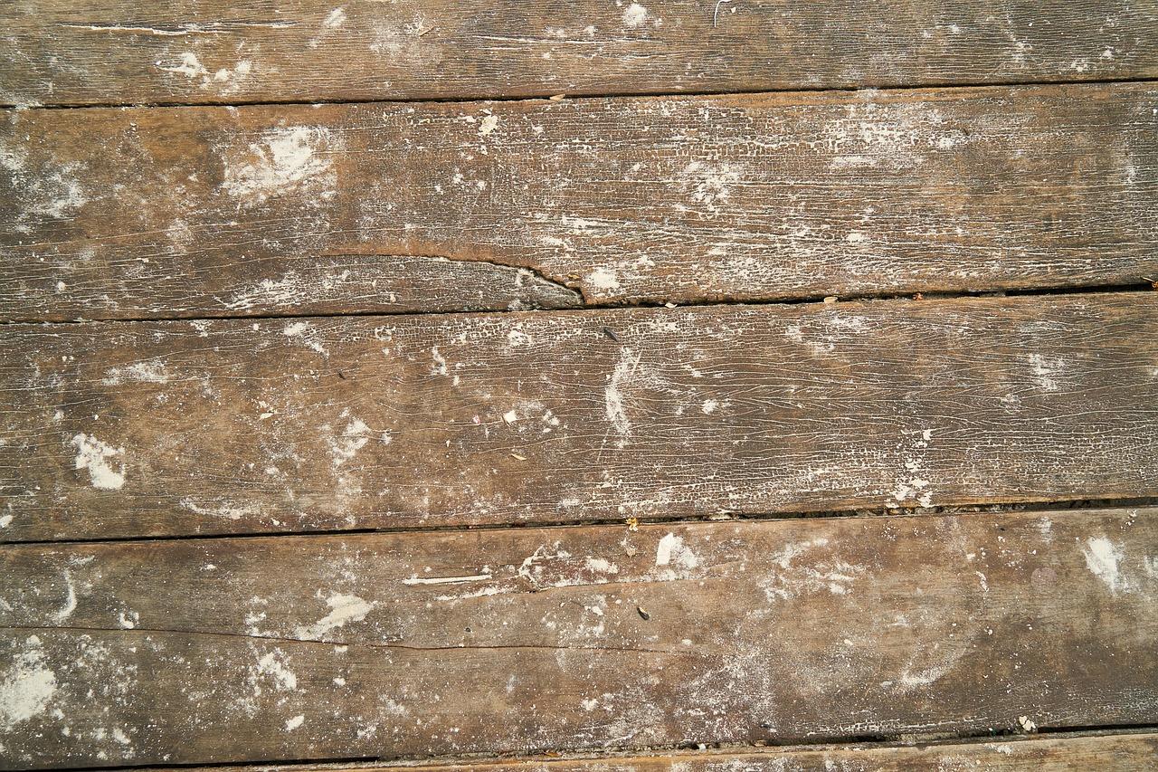 3. 橡木多层板用途