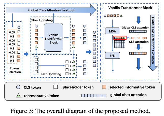 CVPR2023 Making Vision Transformers Efficient from A Token ...