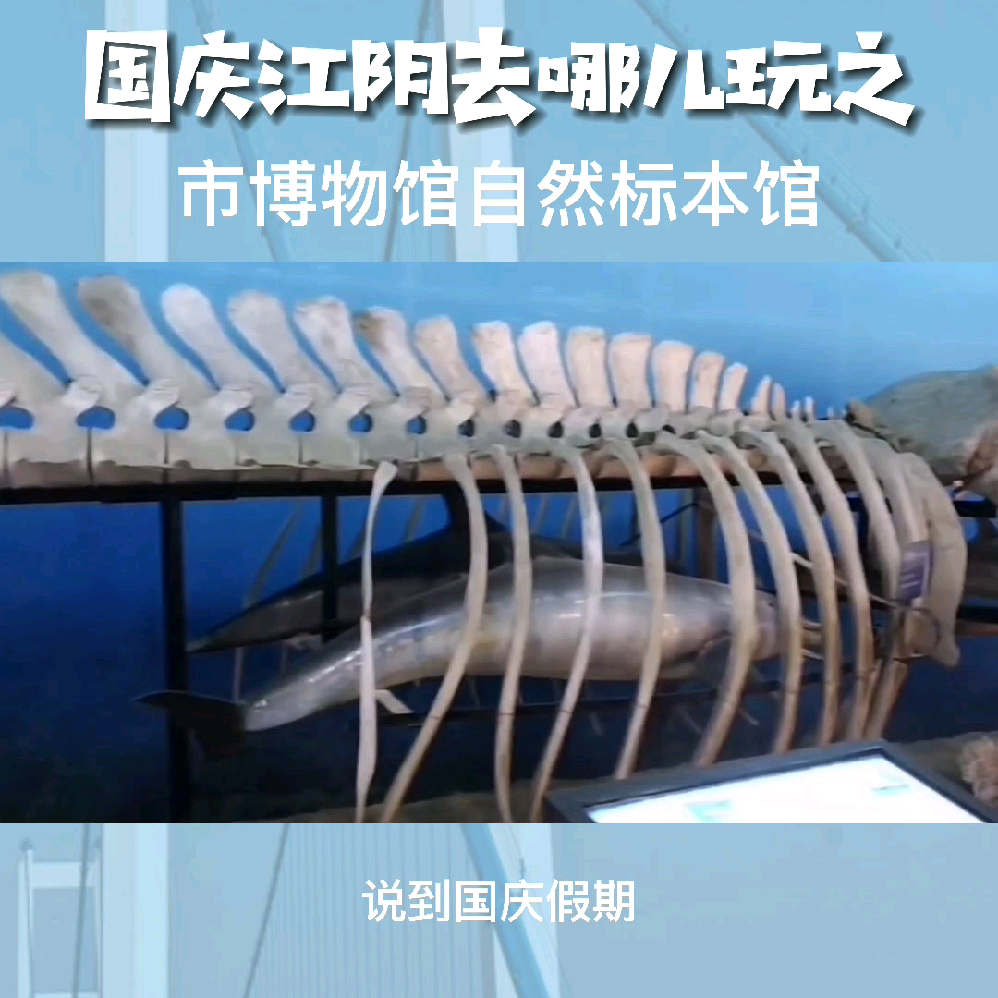 江阴市博物馆自然标本馆赶紧抓住假期的尾巴带孩子去玩吧