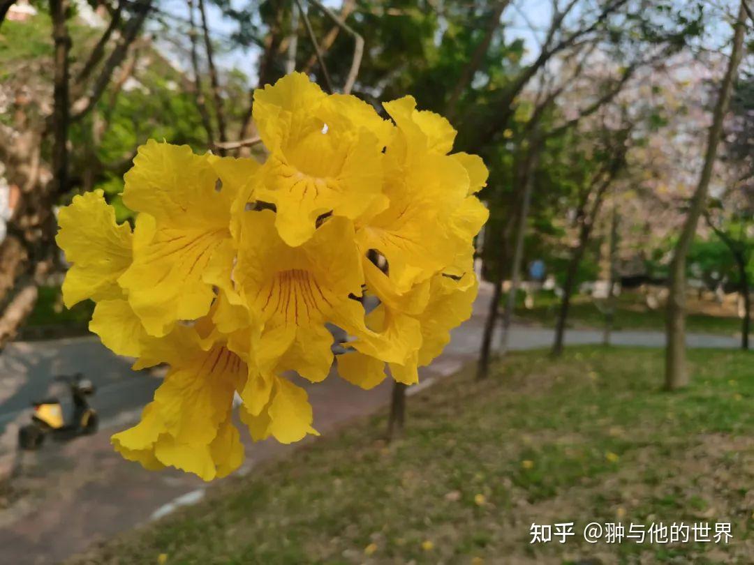 兔年谈斐波那契数列- 知乎