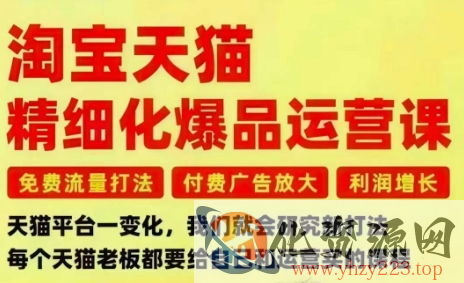 淘宝天猫精细化爆品运营课，免费流量打法-付费广告放大-利润增长-三大核心痛点，一次全部解决