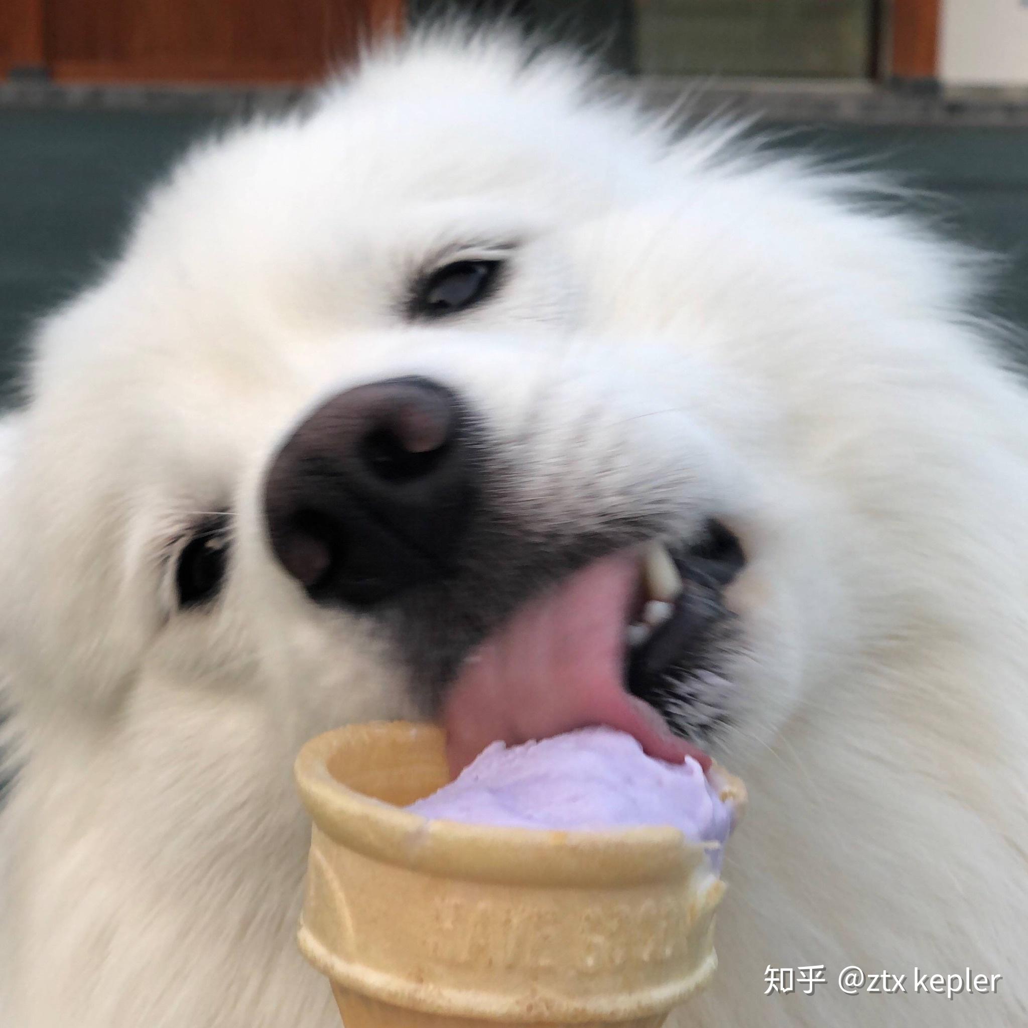 怎样才能引起b站up主老师好我叫何同学的注意?