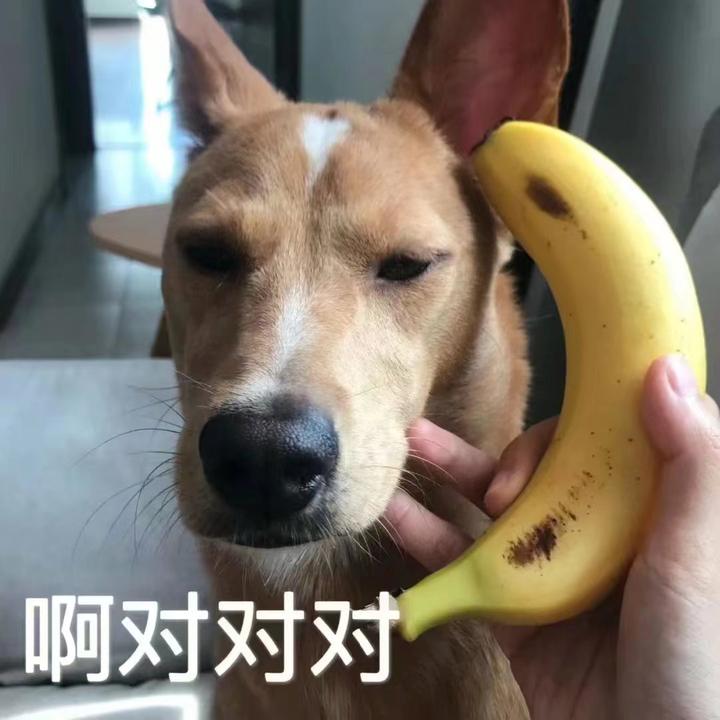 斗图必备搞笑表情包|啊对对对 你说的都对 - 知乎