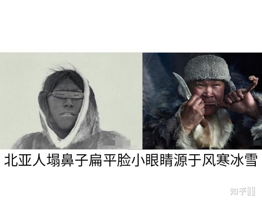 东北亚人种图片