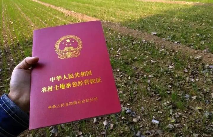 同一块承包地被征收后土地补偿费应当分配给谁