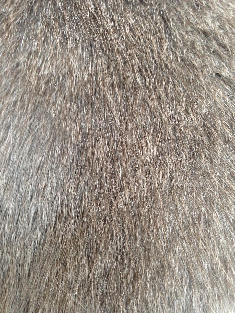 2. 专业地毯洗涤剂