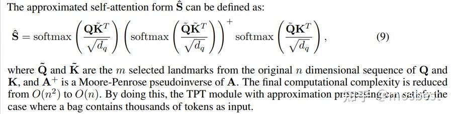 TransMIL: 基于 Correlated Multiple Instance Learning Transformer 用于 WSI ...