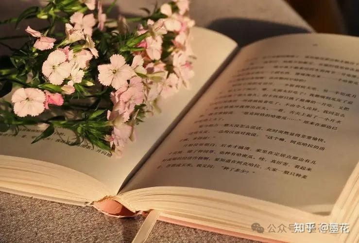 我拒绝了3000元/篇的长期约稿,说说心里话 - 知乎