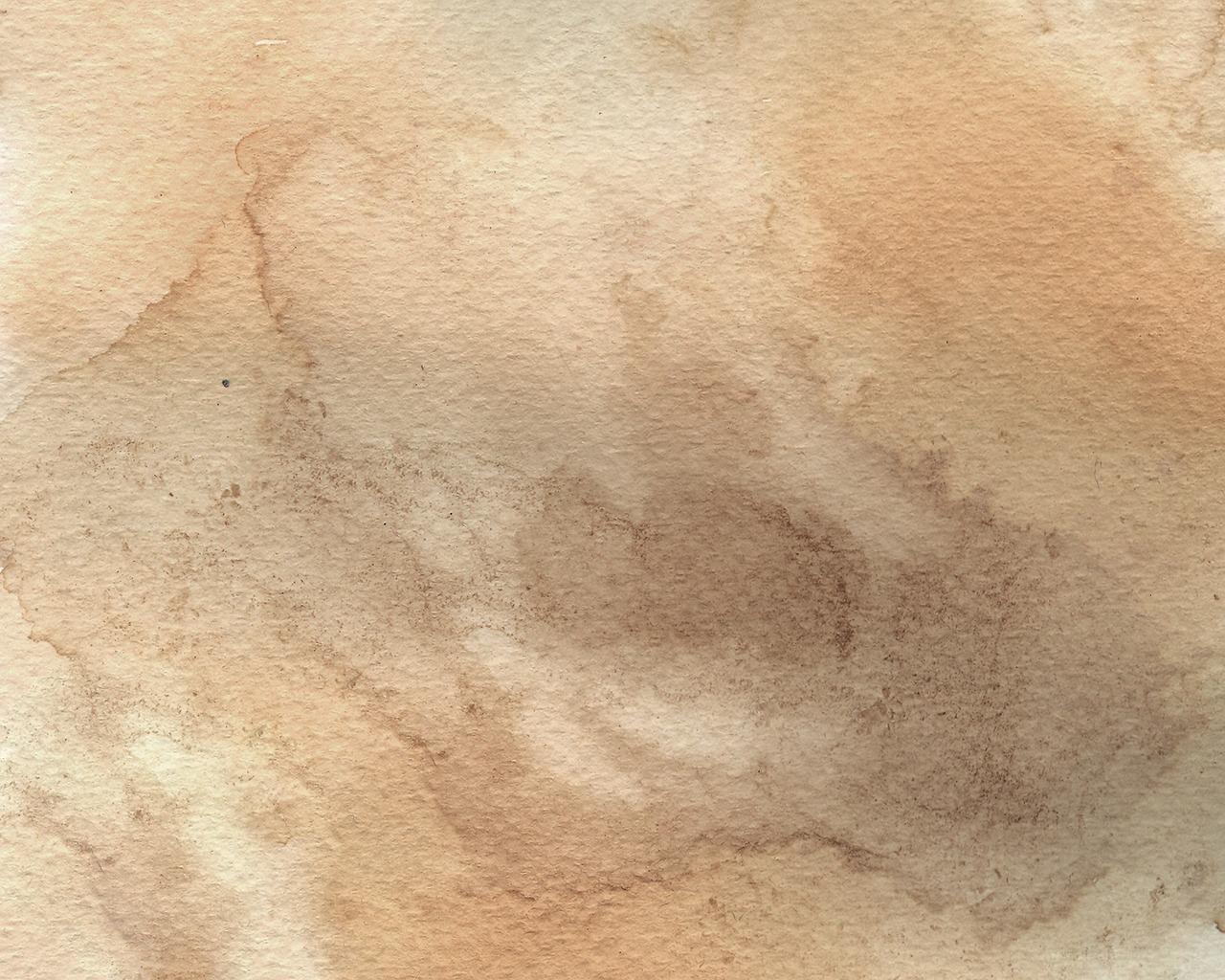 3. 霉斑清洗技巧