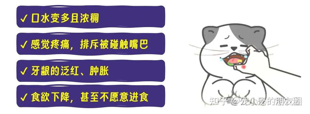 猫口炎的终结者来了 - 知乎
