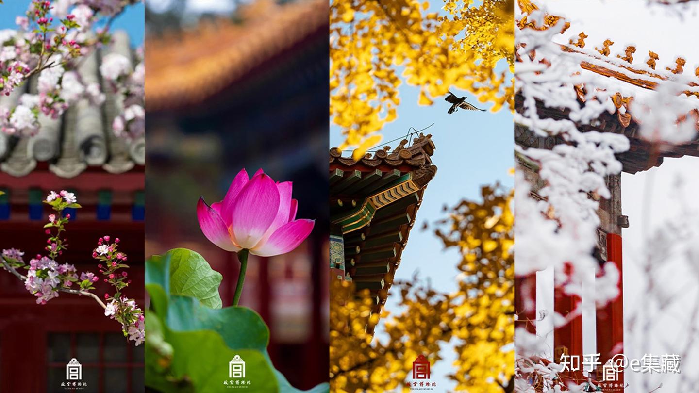 那些惊艳过的故宫绝美四季,都在这里...... - 知乎